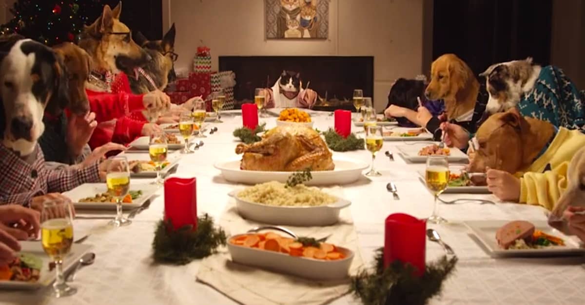 Christmas Table Scraps To Avoid